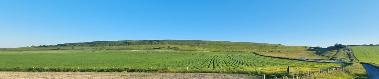 Barney Lines-Hembrey