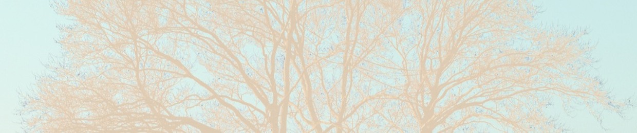 ABUNDANCE techno series