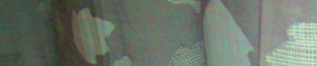 raysmissing