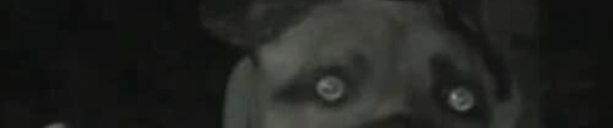 levonjames666