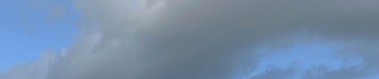 NoFace
