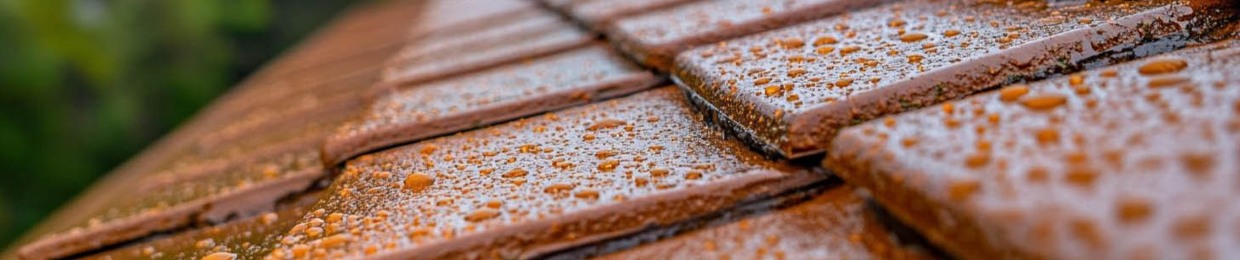 Roof Leak Repair Los Angeles
