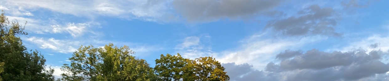 Skydancer_cc
