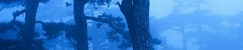 SoundCloud banner for @honouring