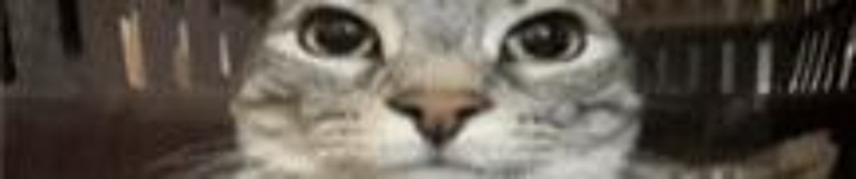 inuthegamer