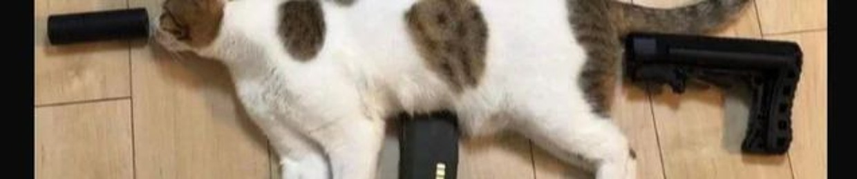 qbyte