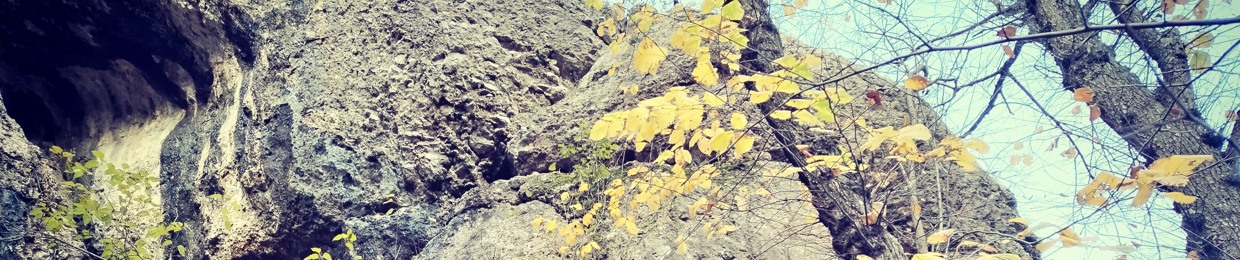 Love, Peace and Harmony