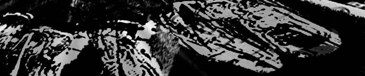 Anonymous Ambient