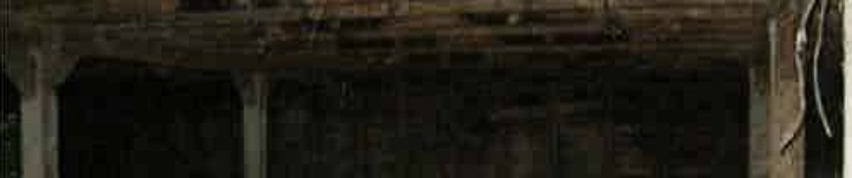 C4CEO
