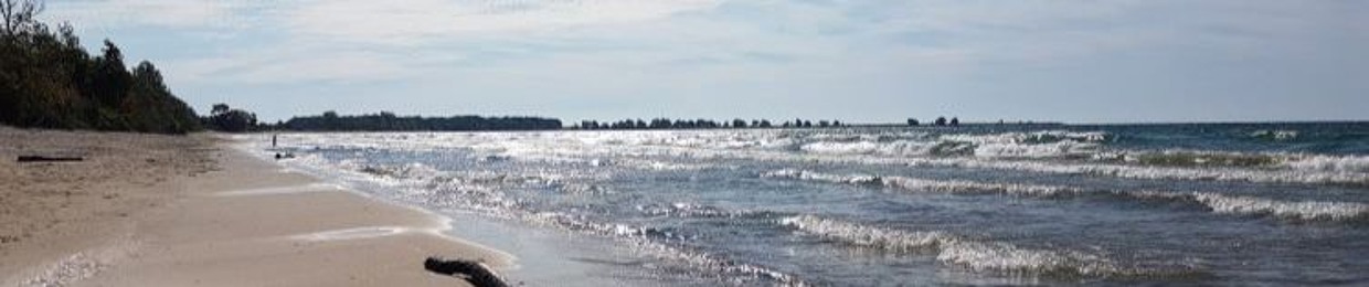 Paul Mcelligott Wolfe Island