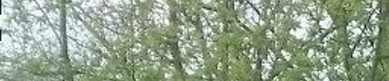 𝓟𝓻𝓮𝓽𝓪𝓥𝓲𝓸𝓵𝓮𝓷𝓬𝓮914