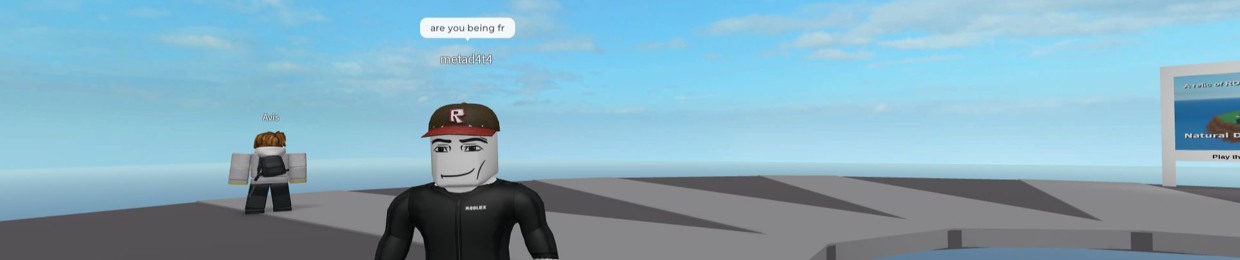 meta