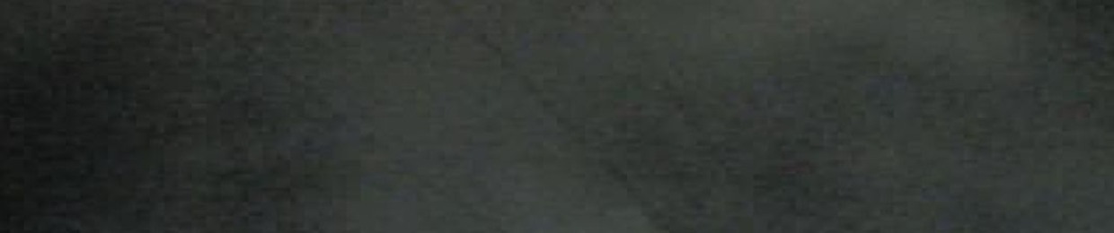 loganSalu