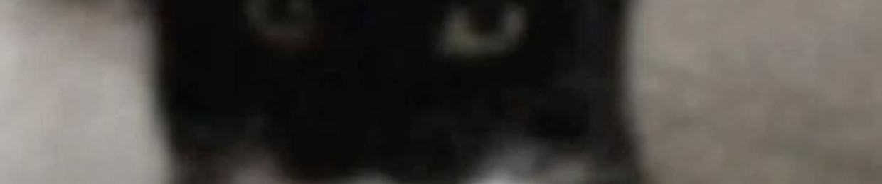 Непобедимыйишак