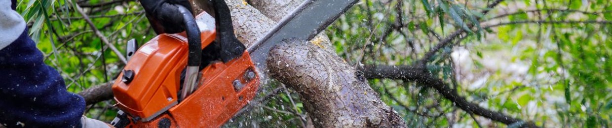 Austin Tree Service Pros