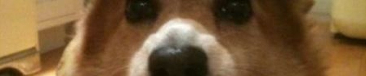 🫶🏻