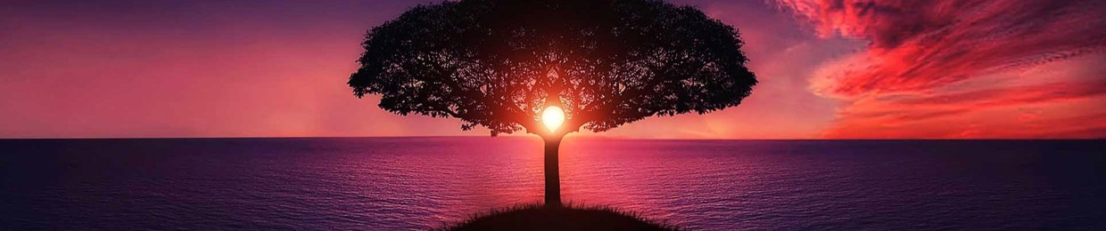 Luc Cardinal | NeuroCoach