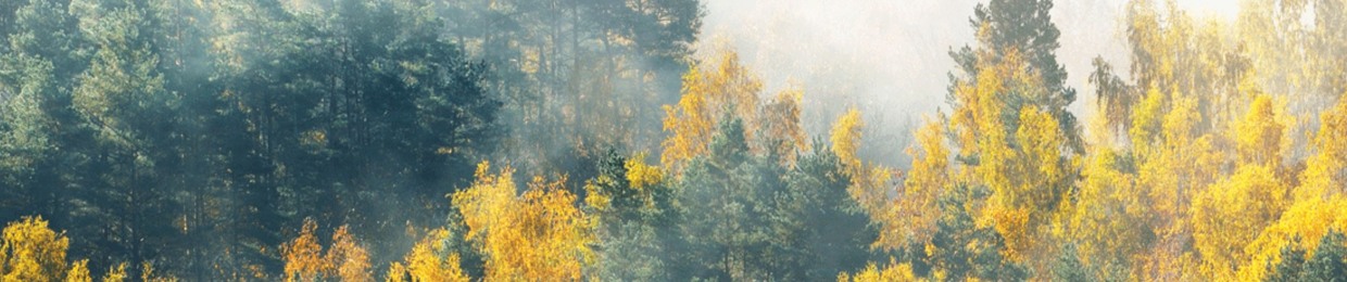 ForestChats Podcast