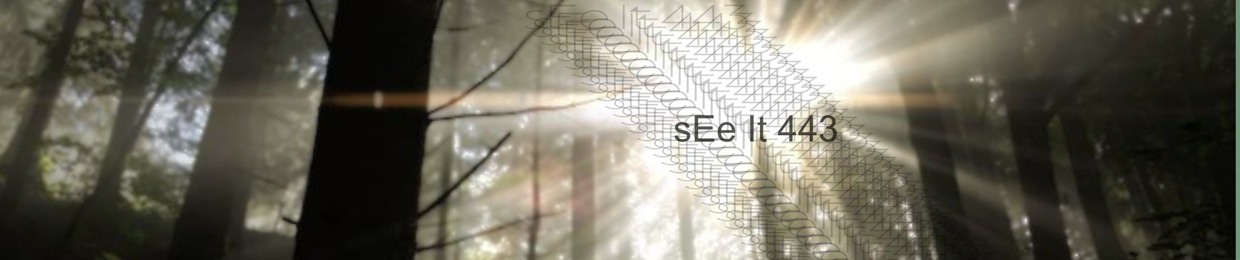 sealeth