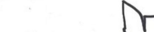 SoundCloud banner for @ostrich