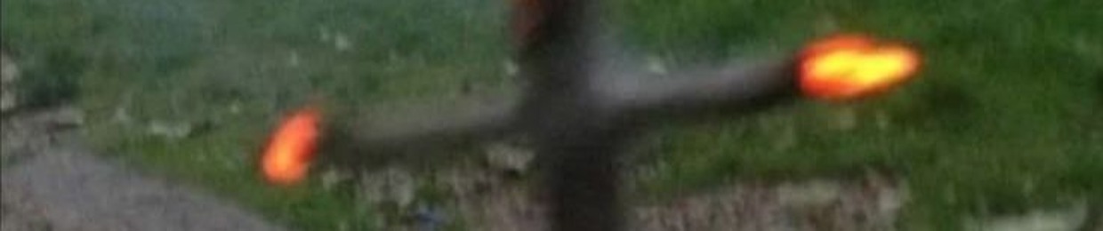 backyardfreak