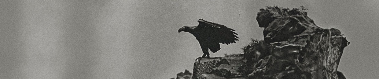 héshān
