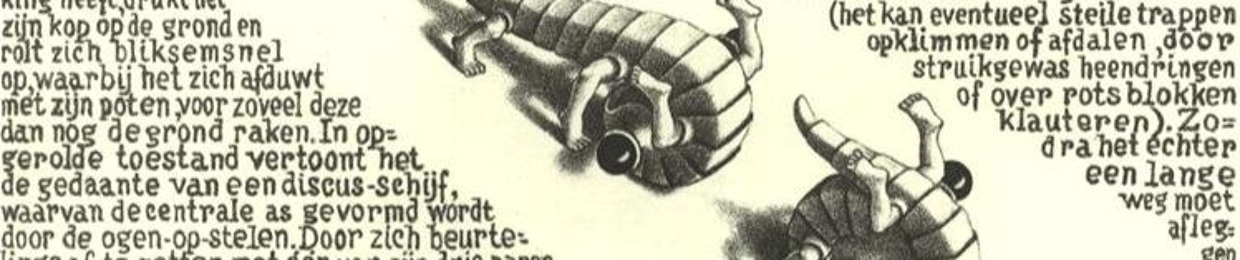 SVM-Robot