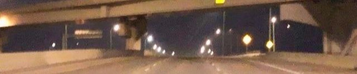 Christopher TheGrasshopper