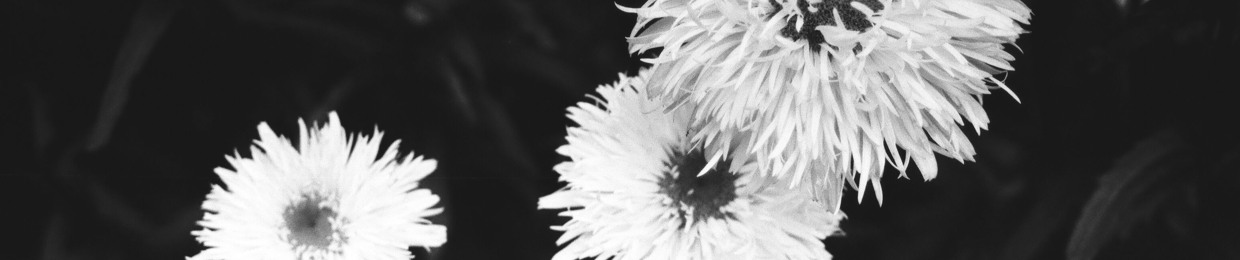 Casi Lo Perdemos Todo