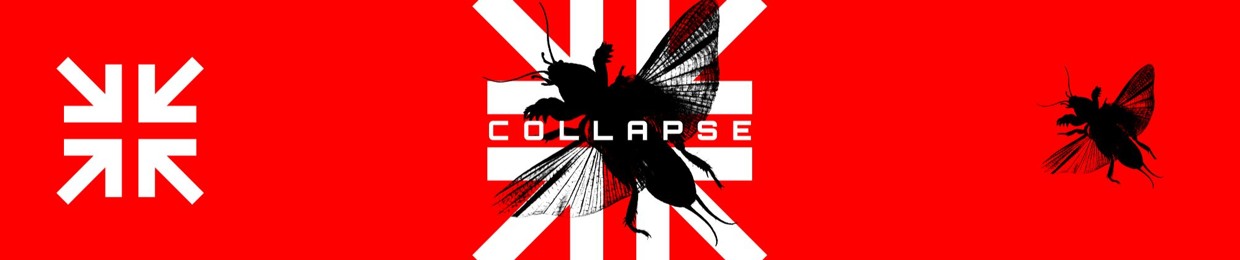 COLLAPSE CORP.