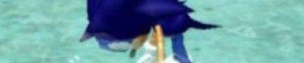 captain_Stoopid