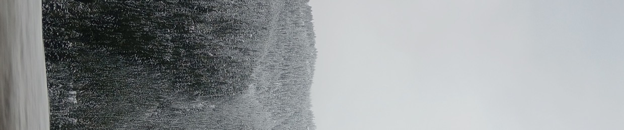 the distance between us