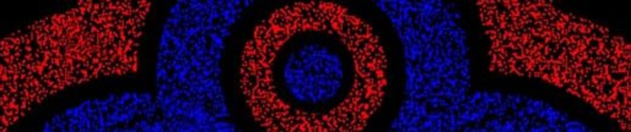 Core Edges