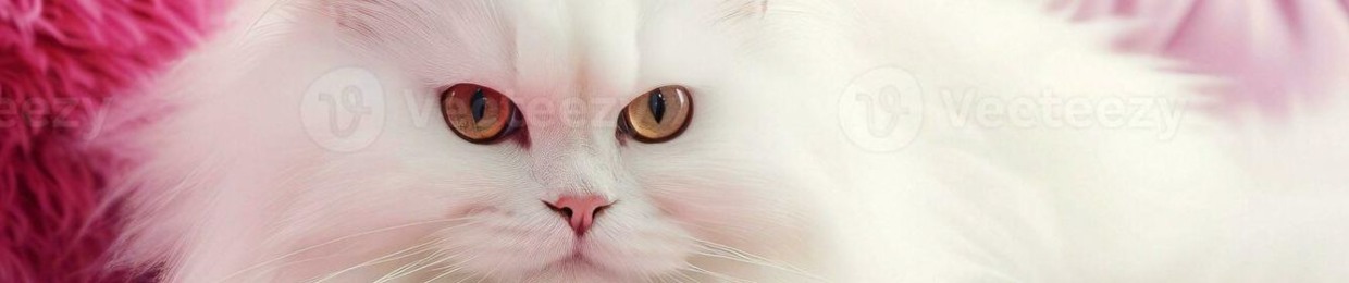 Abdullahi Illustrator