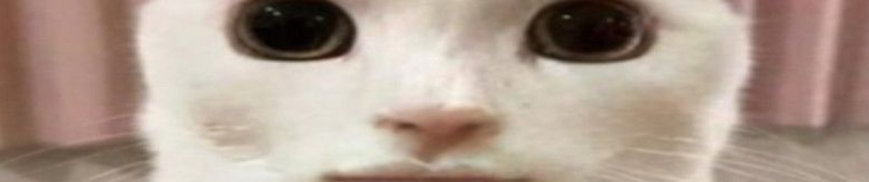 sadiethebaddie5 on tiktok