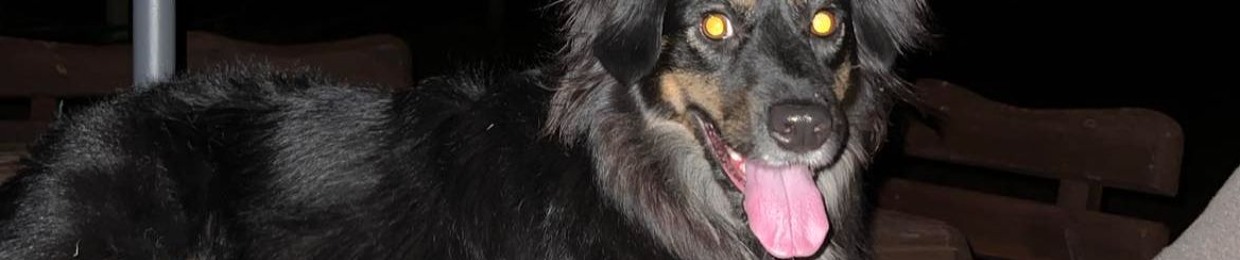Ursa