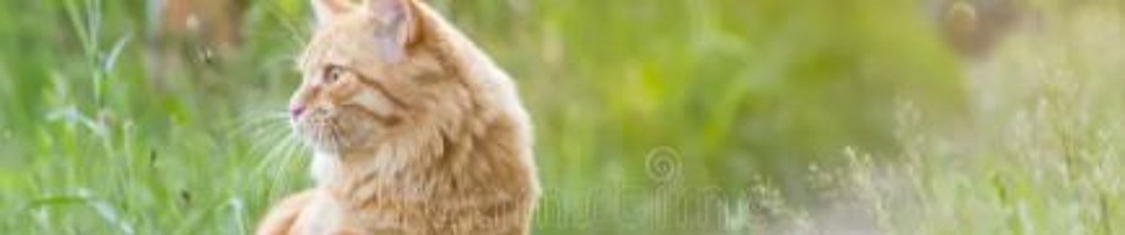SouthEasternPawz
