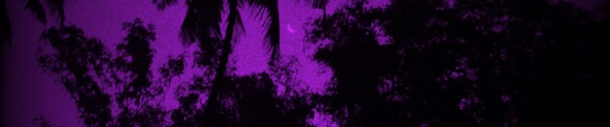 𝘹𝘴𝘳𝘷𝘯𝘨𝘦*