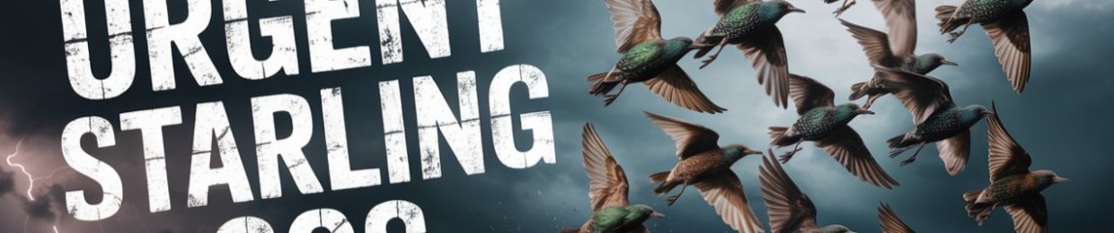 SOS (Sound Of Starlings)