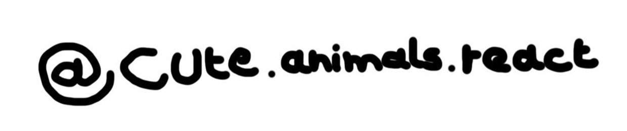 Cute Animals React