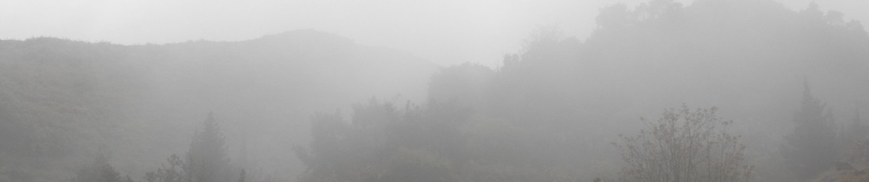 misty