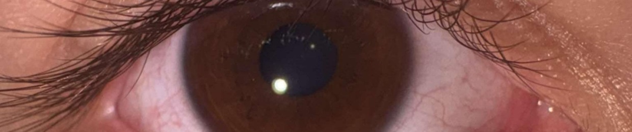 Introverted extrovert