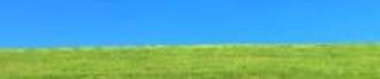 RYLEIGH_YEAH THIS ONE!