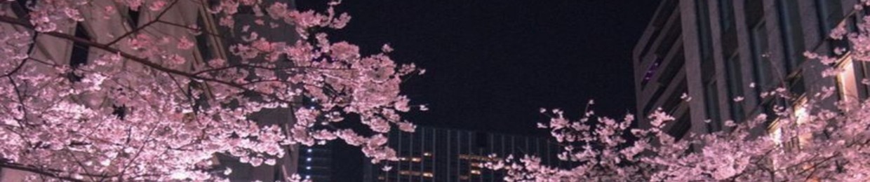 Hk_Samurai