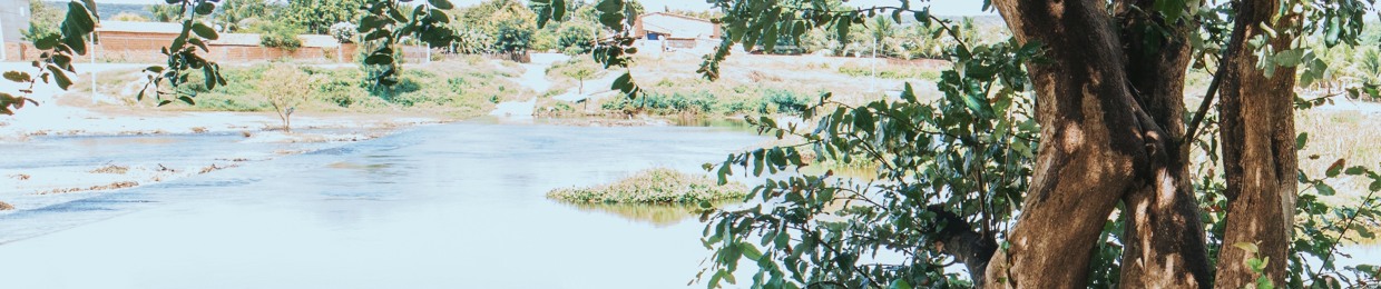 Ercílio Brito