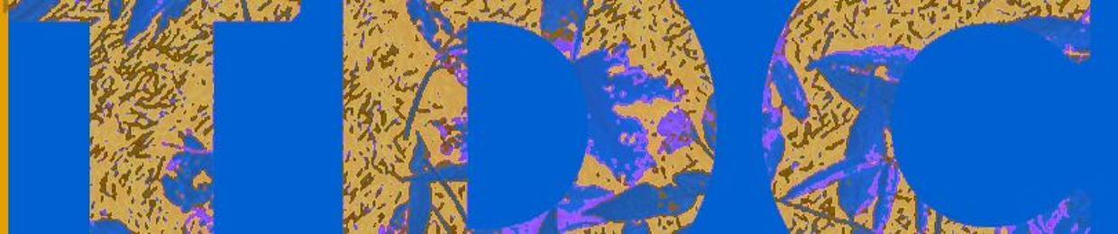THEDISTORTEDCOLLECTIVE