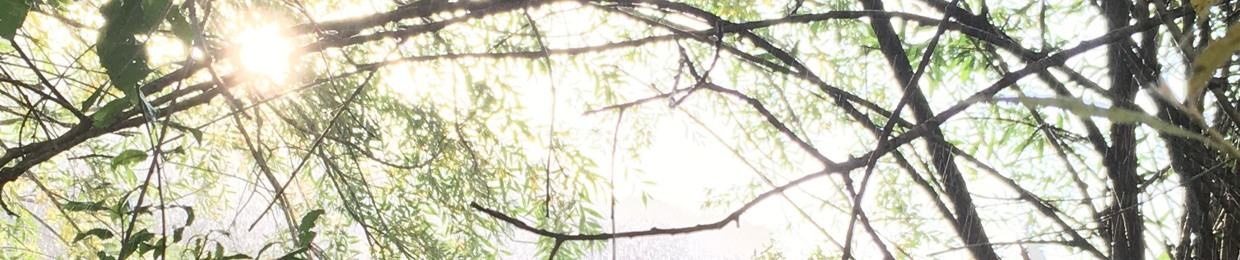 Lumen