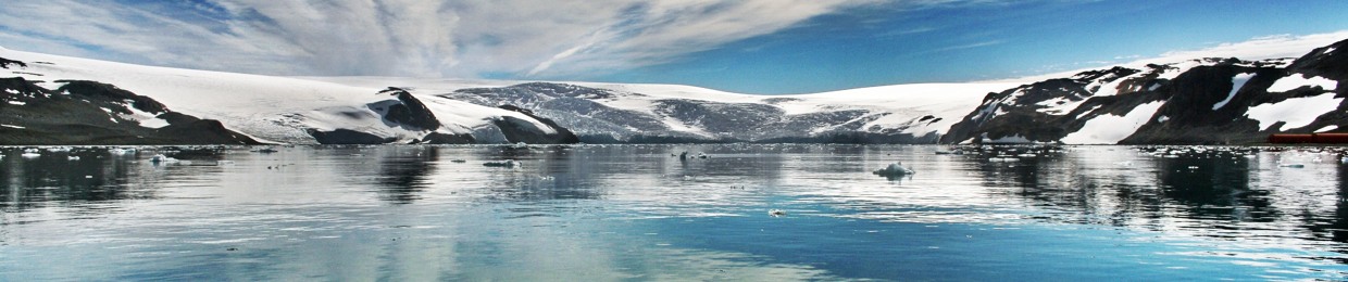 kpop? 그게 뭐죠?