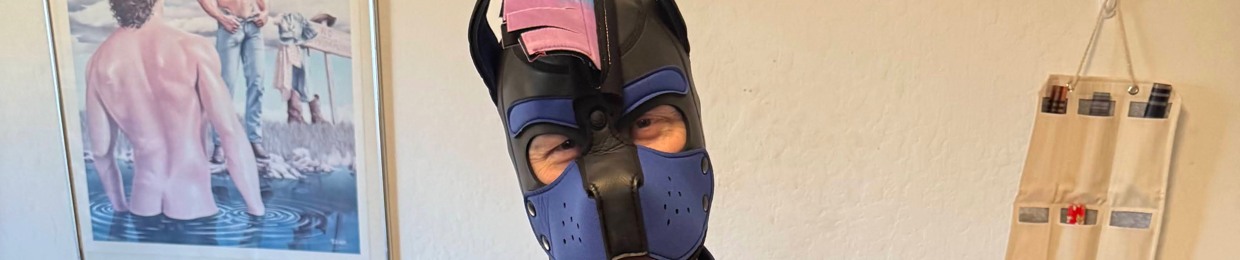 Pup qubit