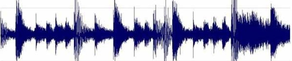 [renoise²]